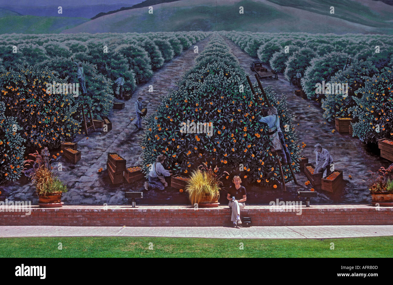 Mural de naranjos y cultivadores al lado de una tienda en la ciudad de Exeter California EE.UU. Foto de stock