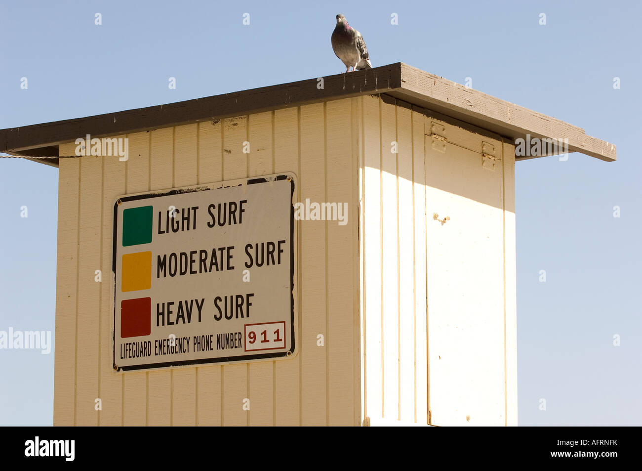 Pájaro descansa sobre signo que indica los niveles de surf en la playa en Dana Point, California Foto de stock
