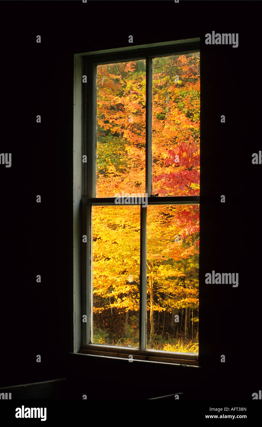 Colores de otoño a través de la ventana Foto de stock