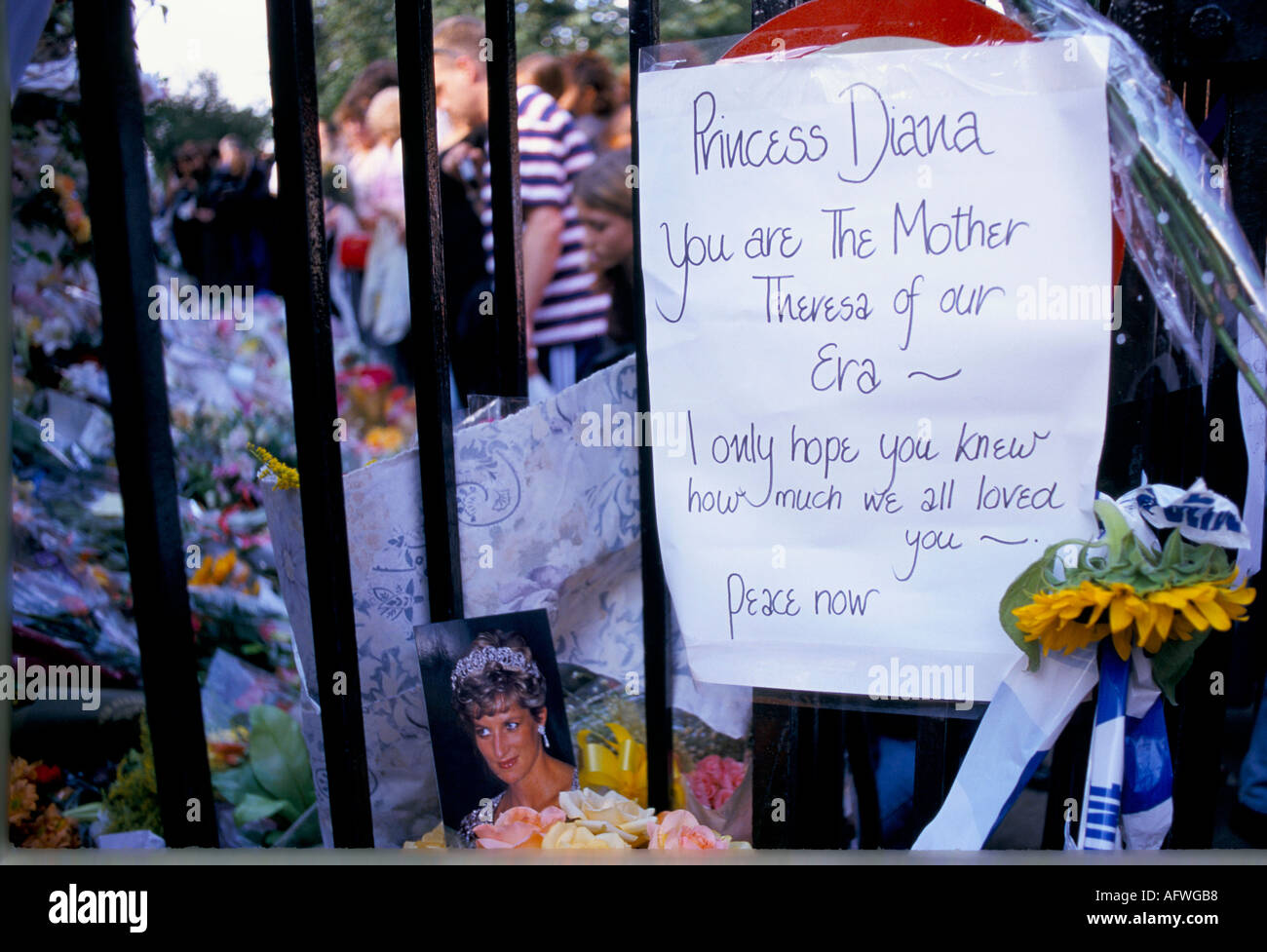 La Princesa Diana de Gales la muerte fotografías flores dejó como tributo floral memorial "Septiembre de 1997" del Palacio de Kensington, Londres, Gran Bretaña 1990 Homero SYKES Foto de stock