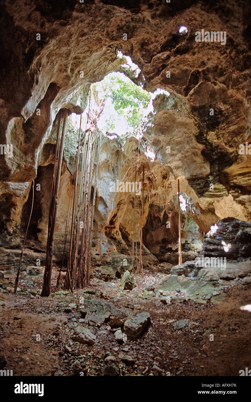 Las cuevas de la isla de Eleuthera Bahamas Foto de stock