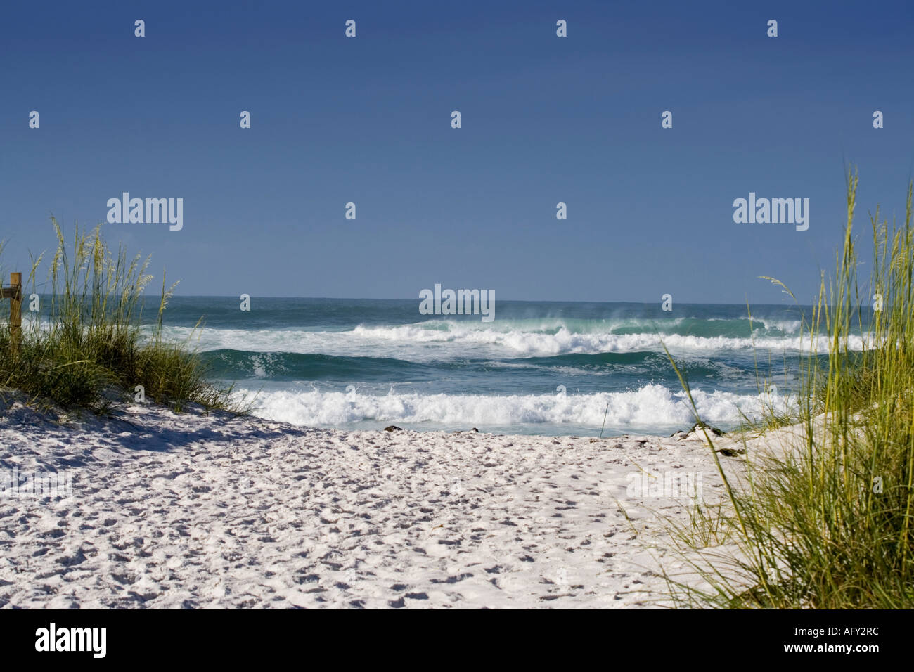 Playa ruta al mar del golfo de México Fotografía de stock Alamy