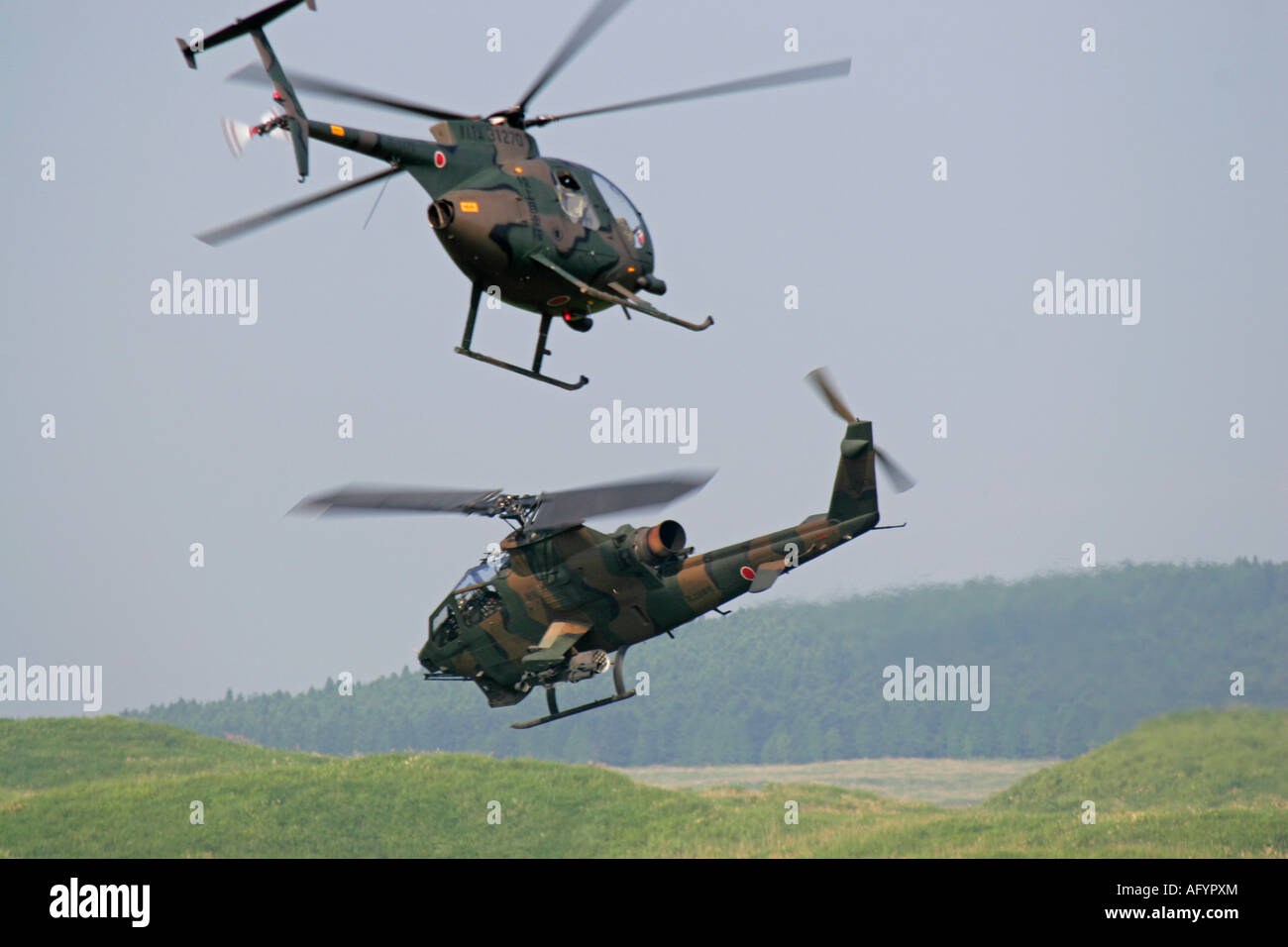 OH-6 Cayuse y helicópteros Cobra AH-1 del Japón Fuerza de Autodefensa de tierra son las maniobras en el cielo Foto de stock