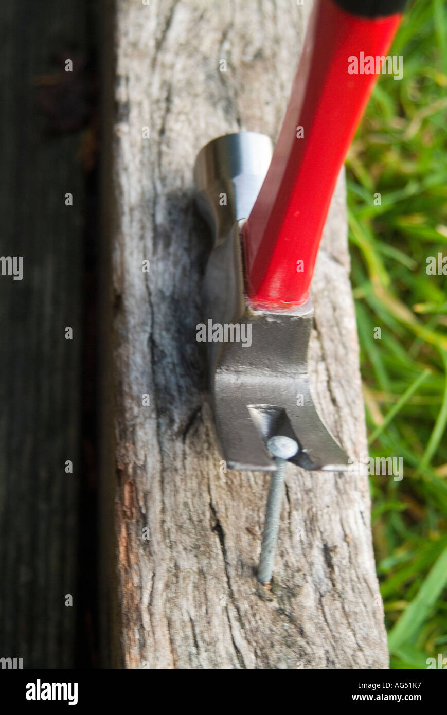 Claw hammer pulling nail fotografías e imágenes de alta resolución - Alamy