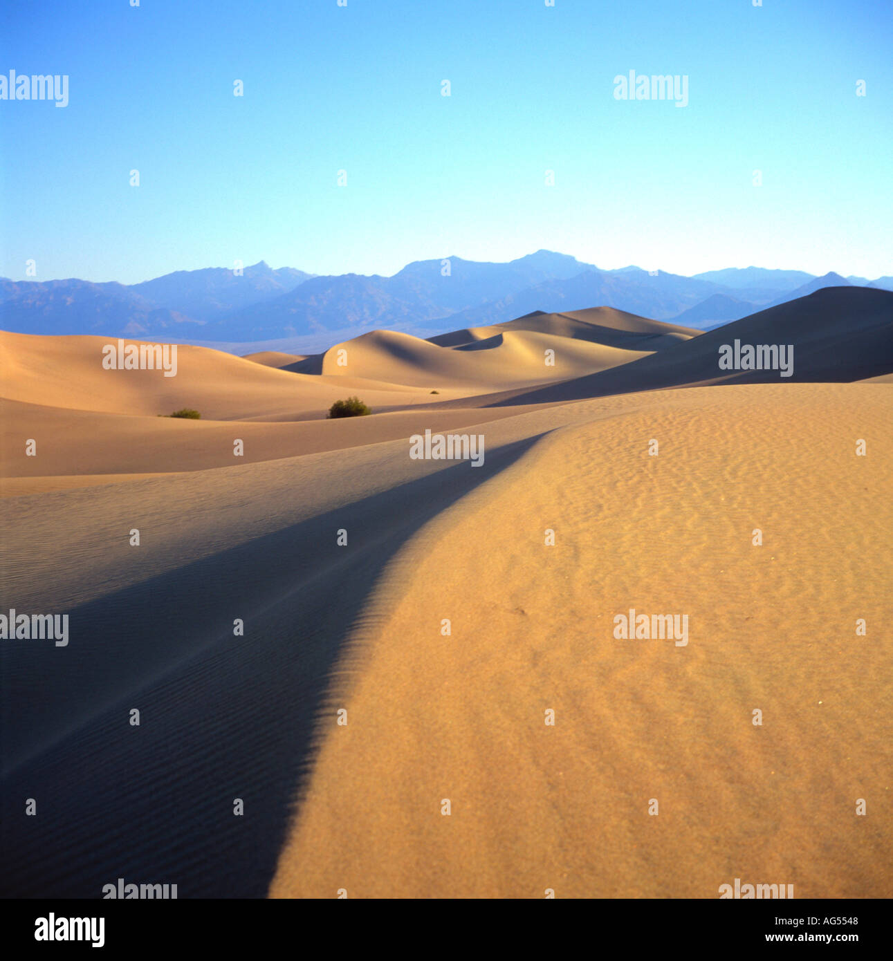 Las dunas de arena de Stovepipe Wells Death Valley California EE.UU. Foto de stock