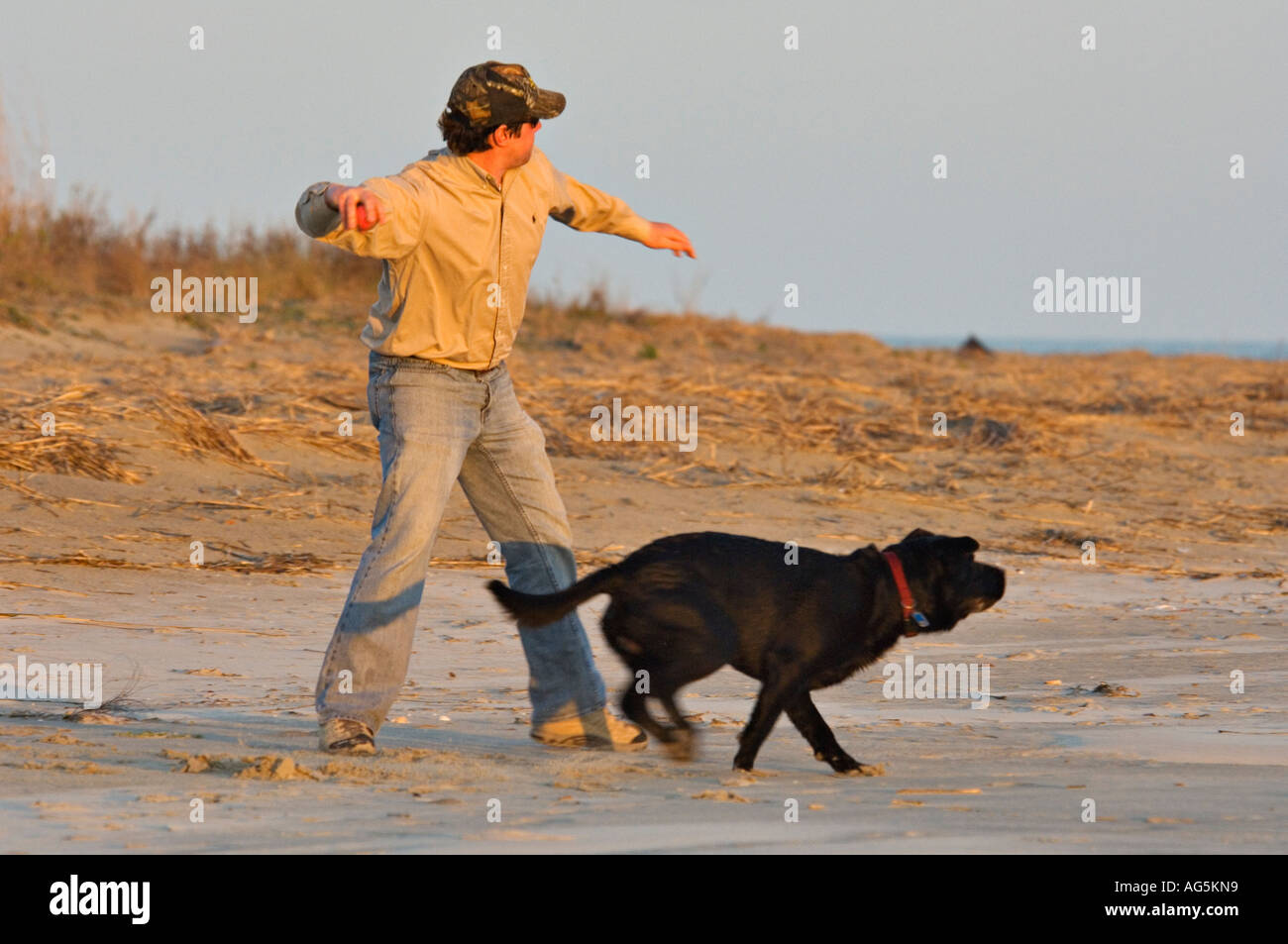 El hombre lanzando la bola para perro en la playa Sullivans Island South Carolina Foto de stock