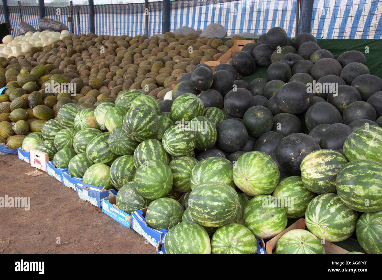 melones-para-venta-en-puesto-callejero-portugal-ag6pxp.jpg