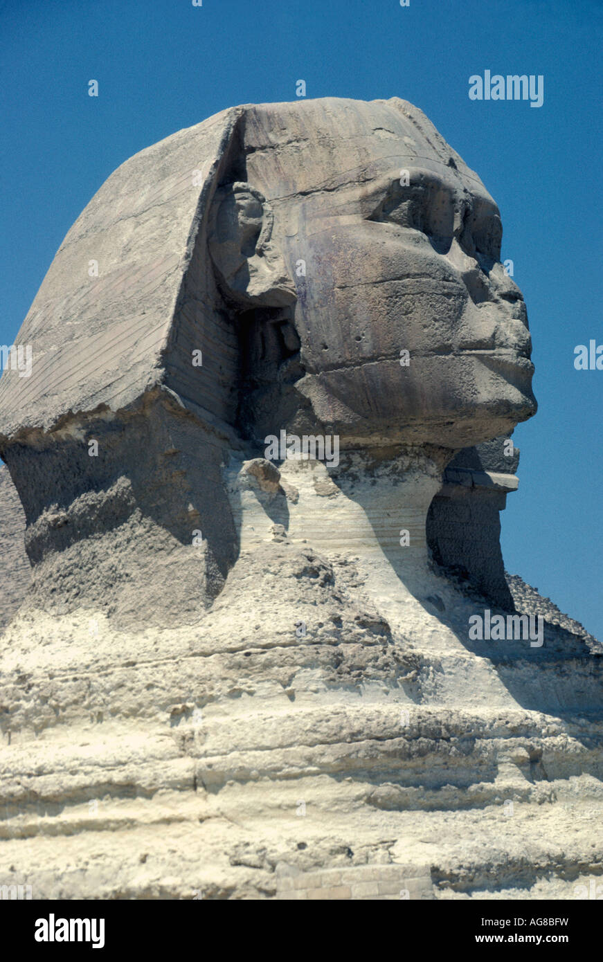 Egipto Esfinge de Giza closeup retrato de cabeza cara Foto de stock