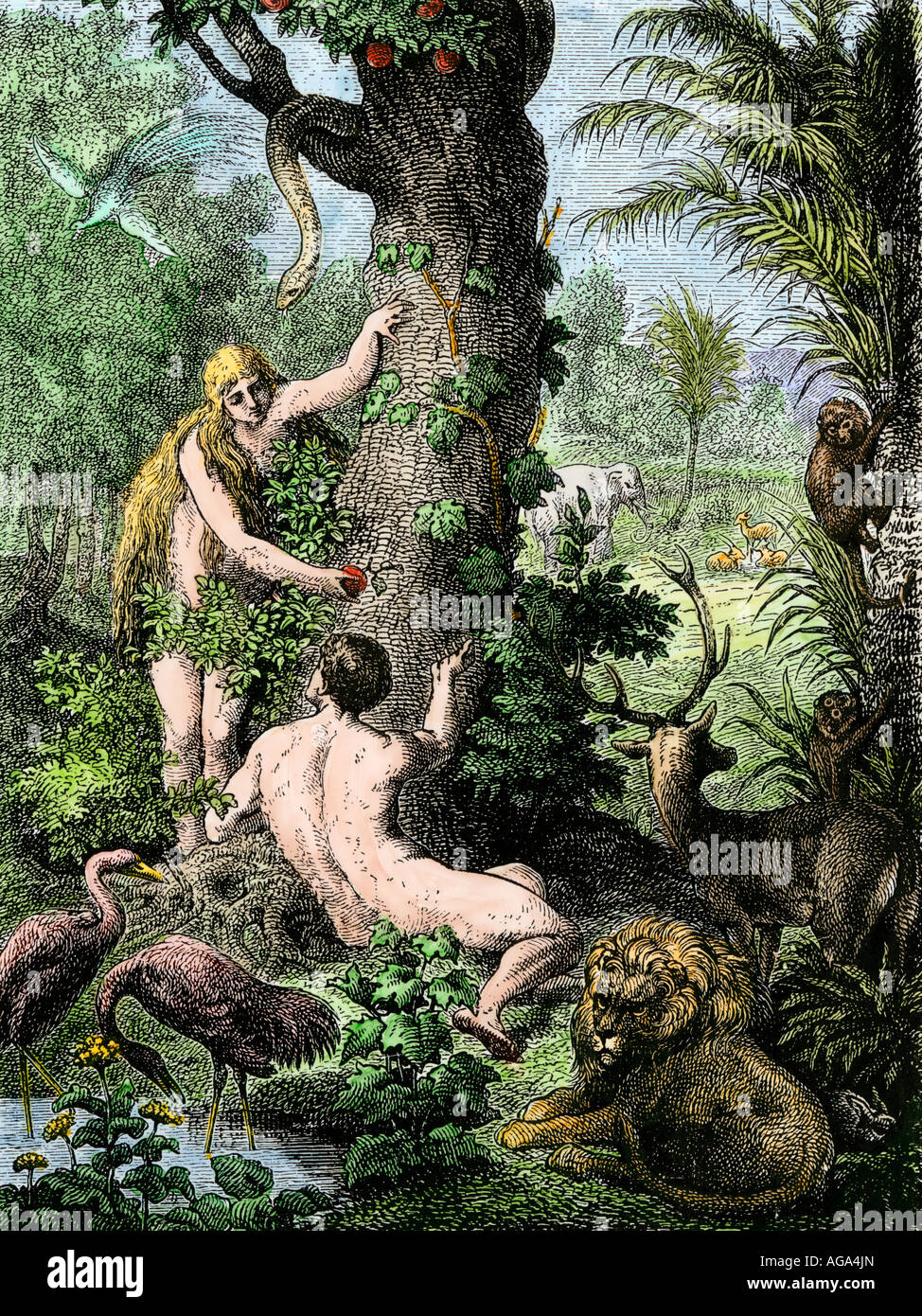 Adán y Eva en el Edén. Xilografía coloreada a mano Foto de stock