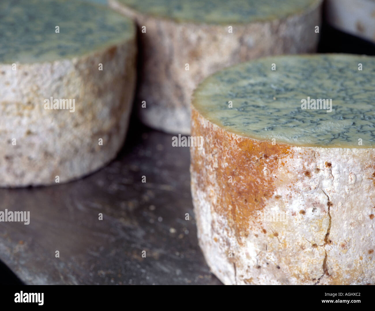 Madurar y desarrollar blue stilton quesos almacenados en la fábrica. Foto de stock