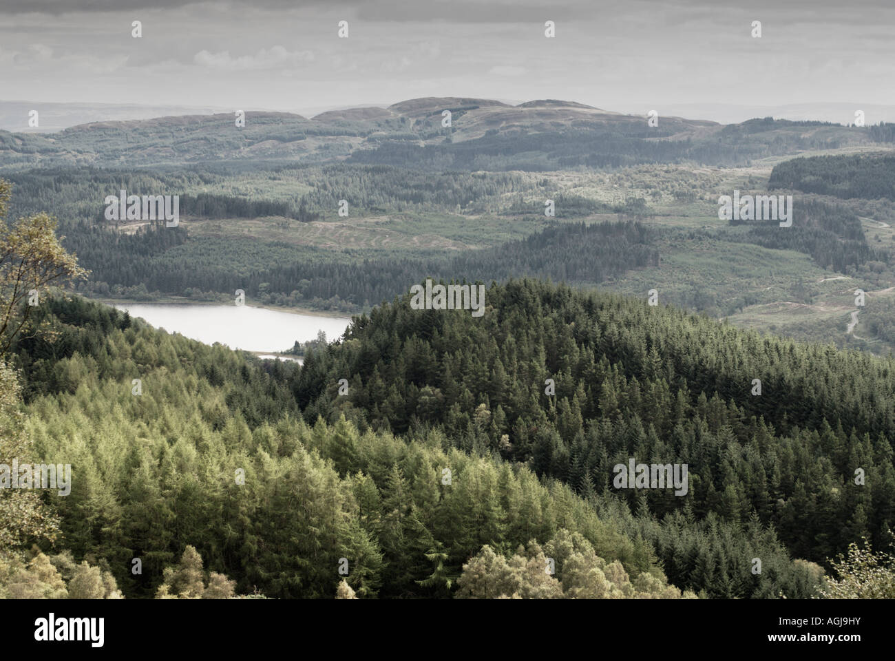 Ver abajo sobre las boscosas Trossachs parque nacional de Escocia, de Ben Aan Foto de stock