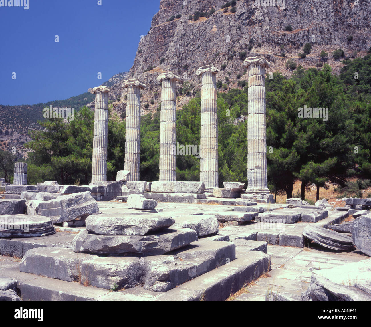Templo de Aphrodite griego antiguo Priene Turquía Foto de stock