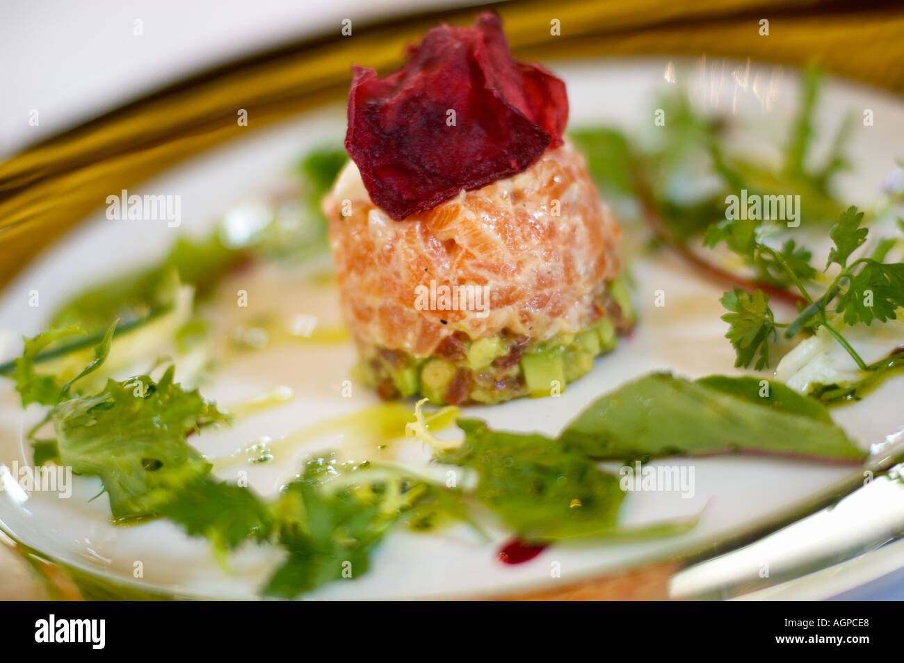 Buena comida - Terrina de Salmón starter en una placa blanca con borde de oro Foto de stock