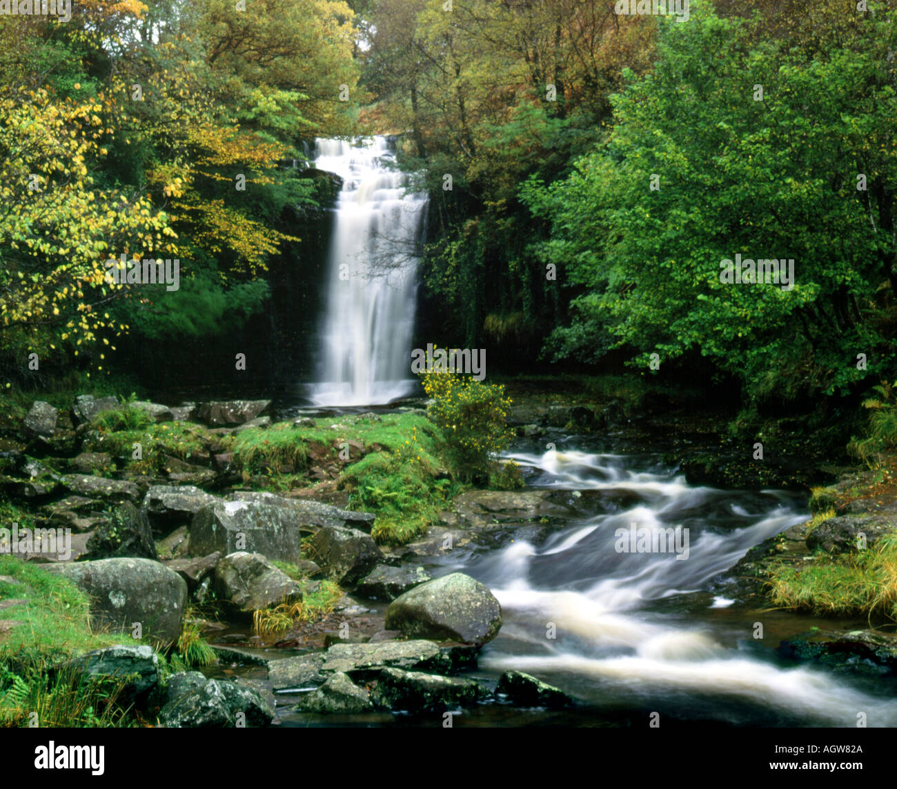 Cascada En El Río Caerfanell, Blaen Y Glyn, Parque Nacional Brecon Beacons, Powys, Gales. Foto de stock