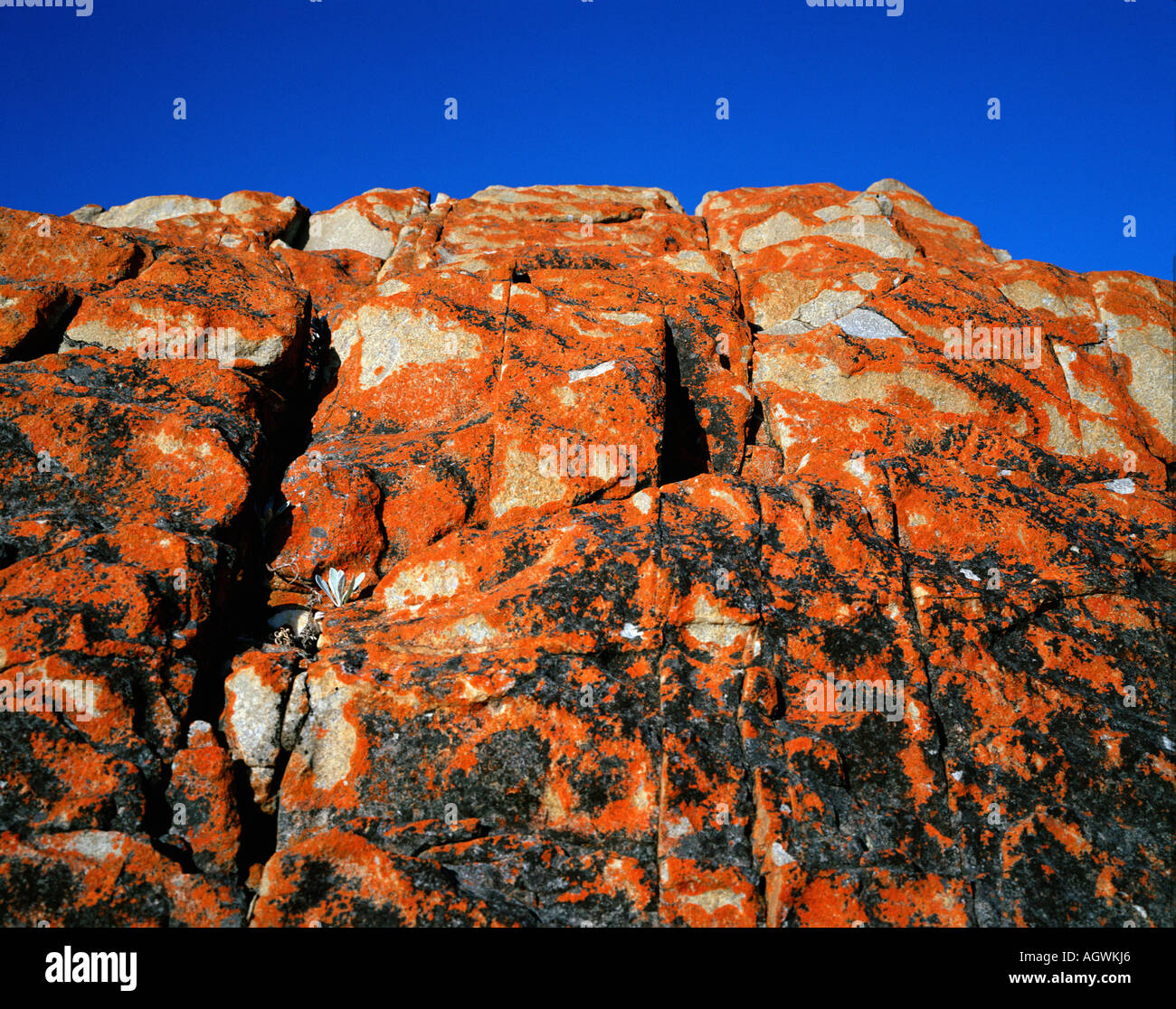 Formaciones de roca / / Felsformationen Oyster Bay Foto de stock