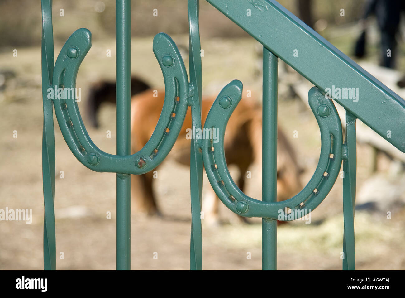 Las herraduras en la puerta con un caballo en el fondo Fotografía de stock  - Alamy