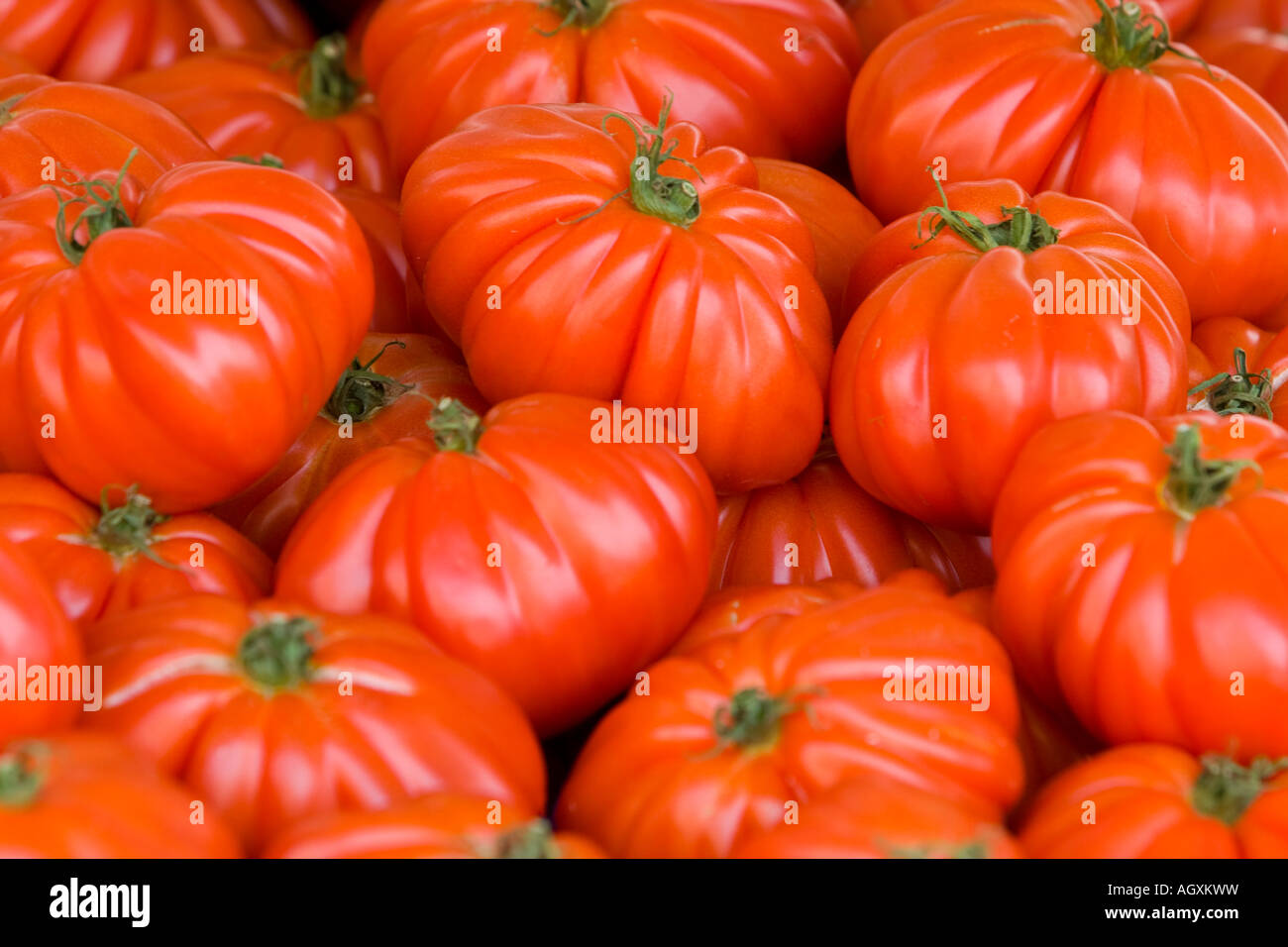 Jugosos tomates rojos apilados para la venta en un mercado Foto de stock