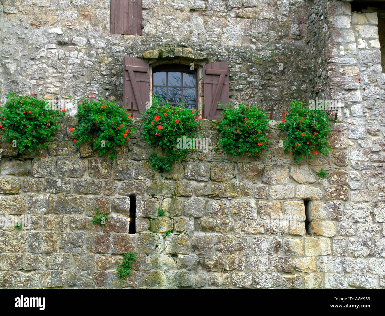 Paredes decoradas con flores fotografías e imágenes de alta resolución -  Alamy