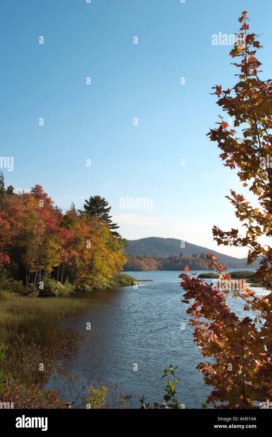 Adirondacks. Fall Foliage, Adirondack Mountains, Estado de Nueva York, Estados Unidos Foto de stock