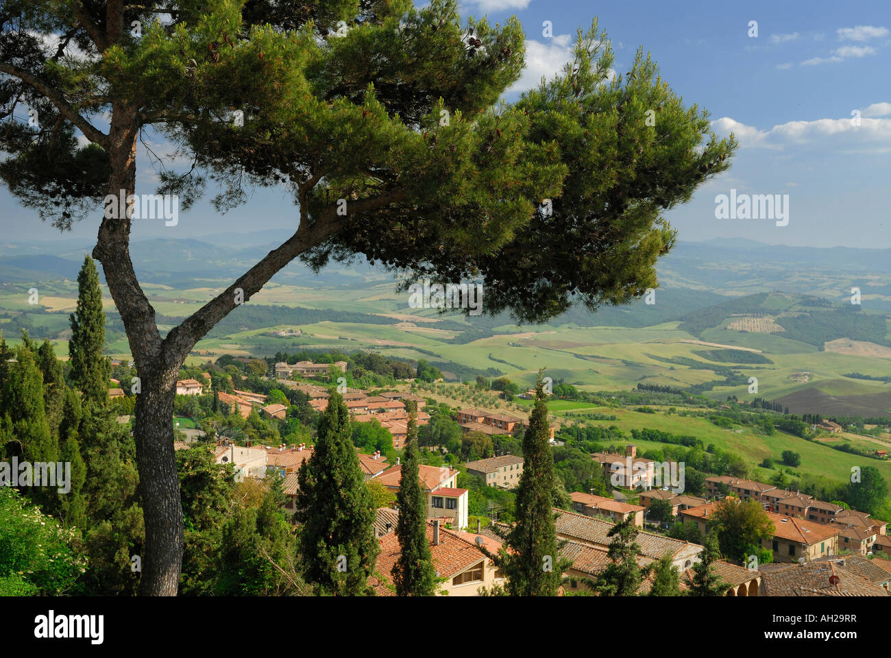 Pino con vistas a Volterra y la cecina valle desde la cima de la colina en la Toscana, Italia Foto de stock