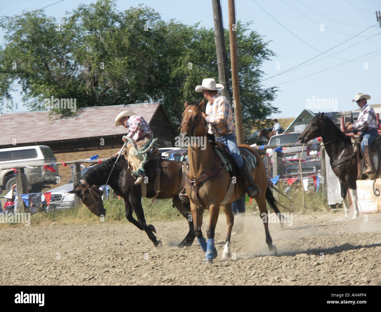 "Tirones Bronco en Rodeo' Foto de stock