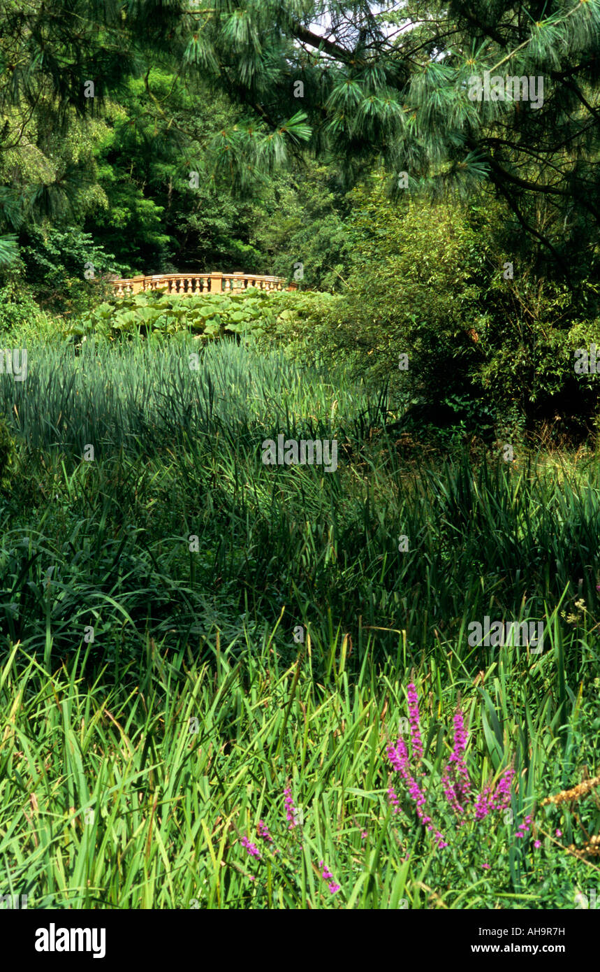 Puente ornamentales en inglés country garden Foto de stock