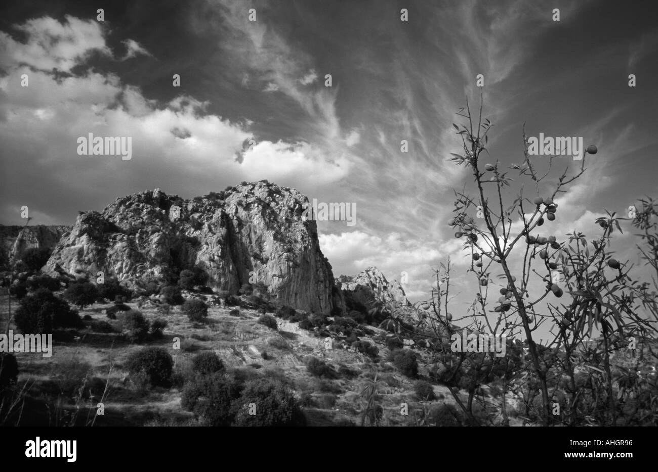 Escena monocromo con el acantilado y árbol cerca de El Chorro en España Foto de stock