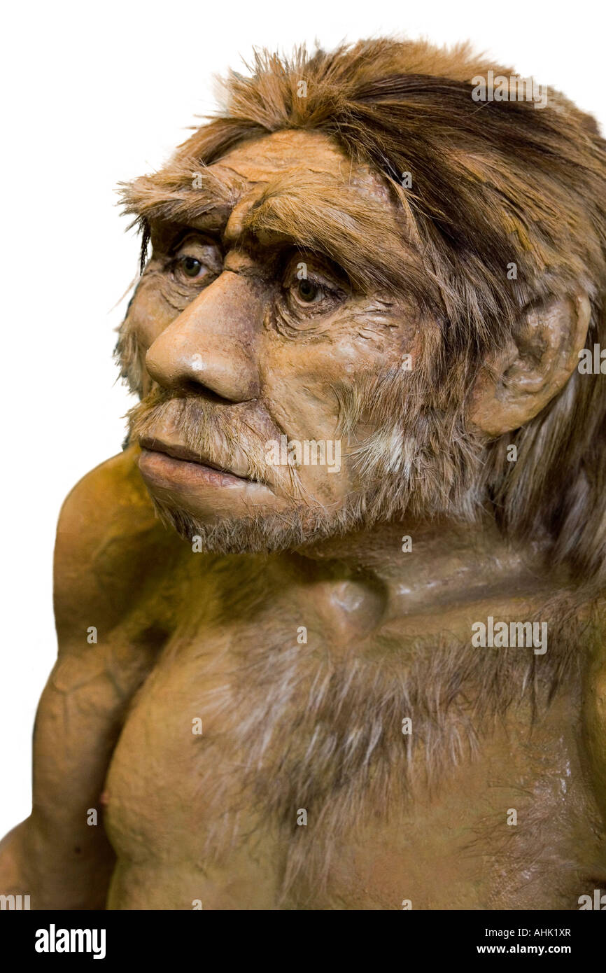 El modelo del hombre de Neanderthal Soos Bohemia República Checa Foto de stock