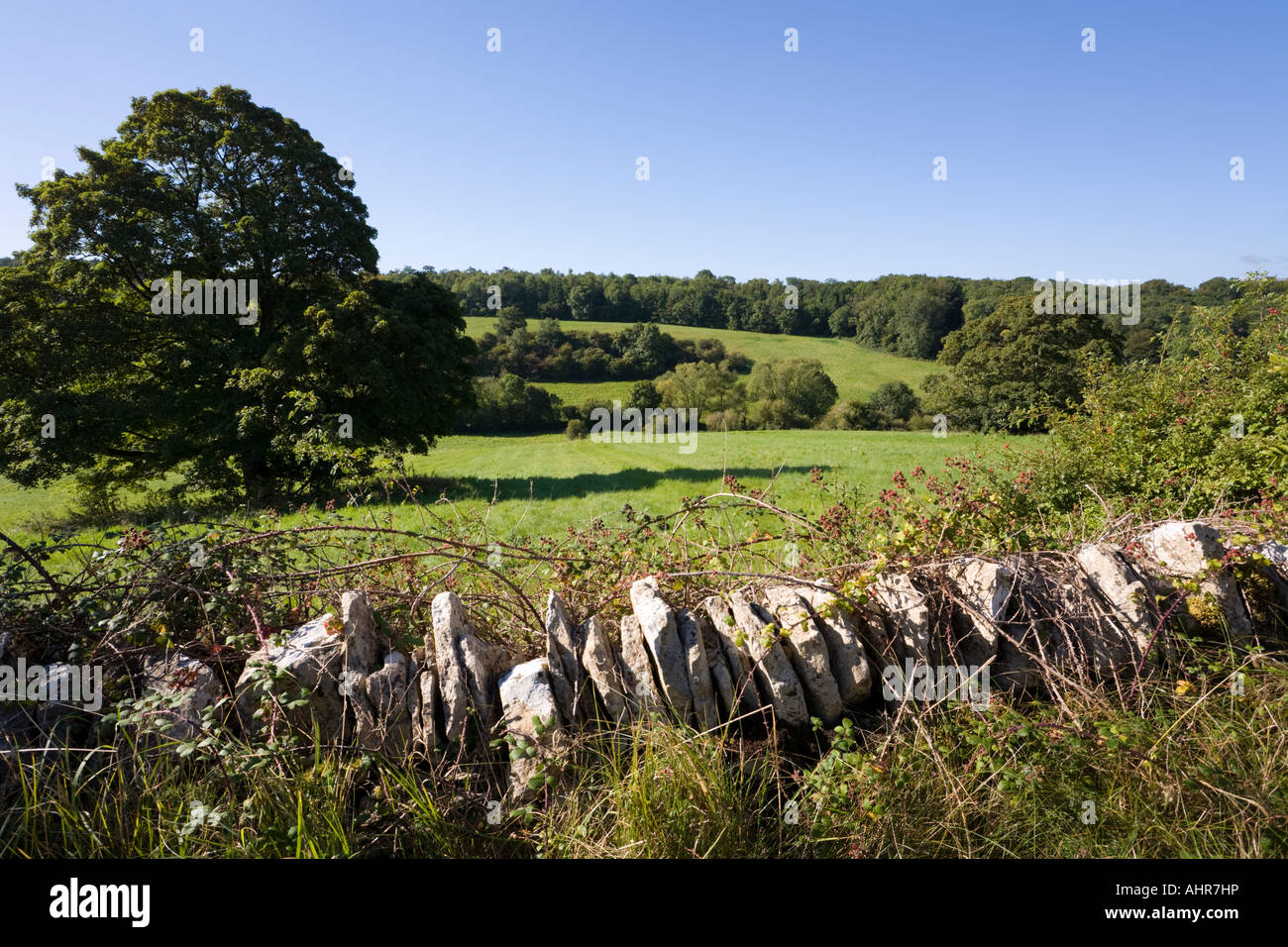 Un paisaje de Cotswold NW de Bagendon, Gloucestershire Foto de stock
