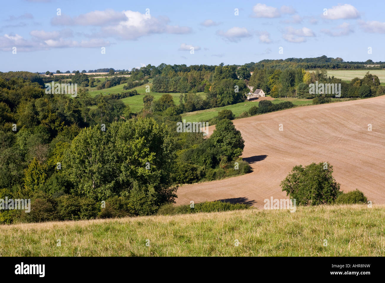 Un paisaje de Cotswold mirando hacia Dartley NW de la granja, Gloucestershire Bagendon Foto de stock