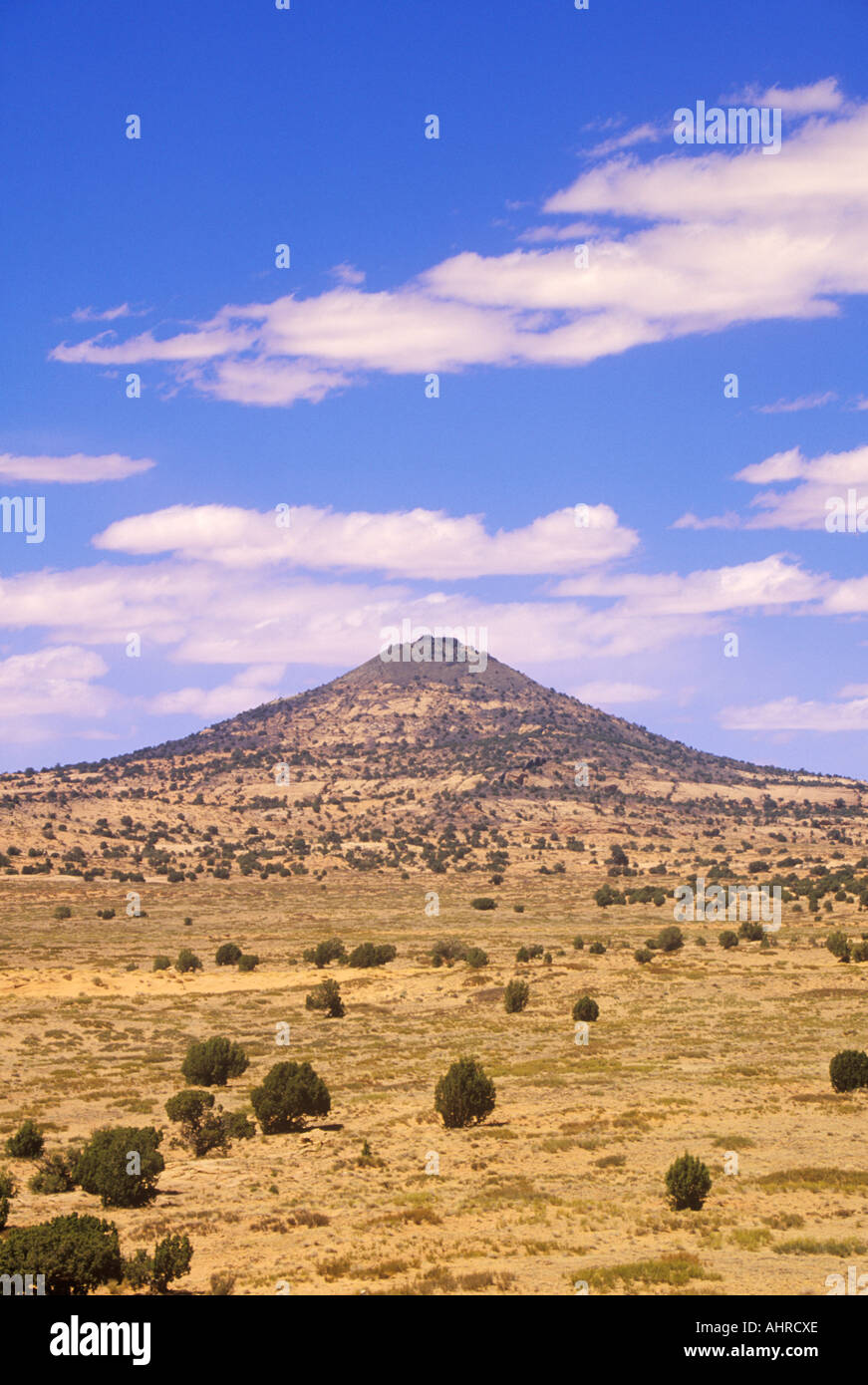 Tonalea fotografías e imágenes de alta resolución Alamy