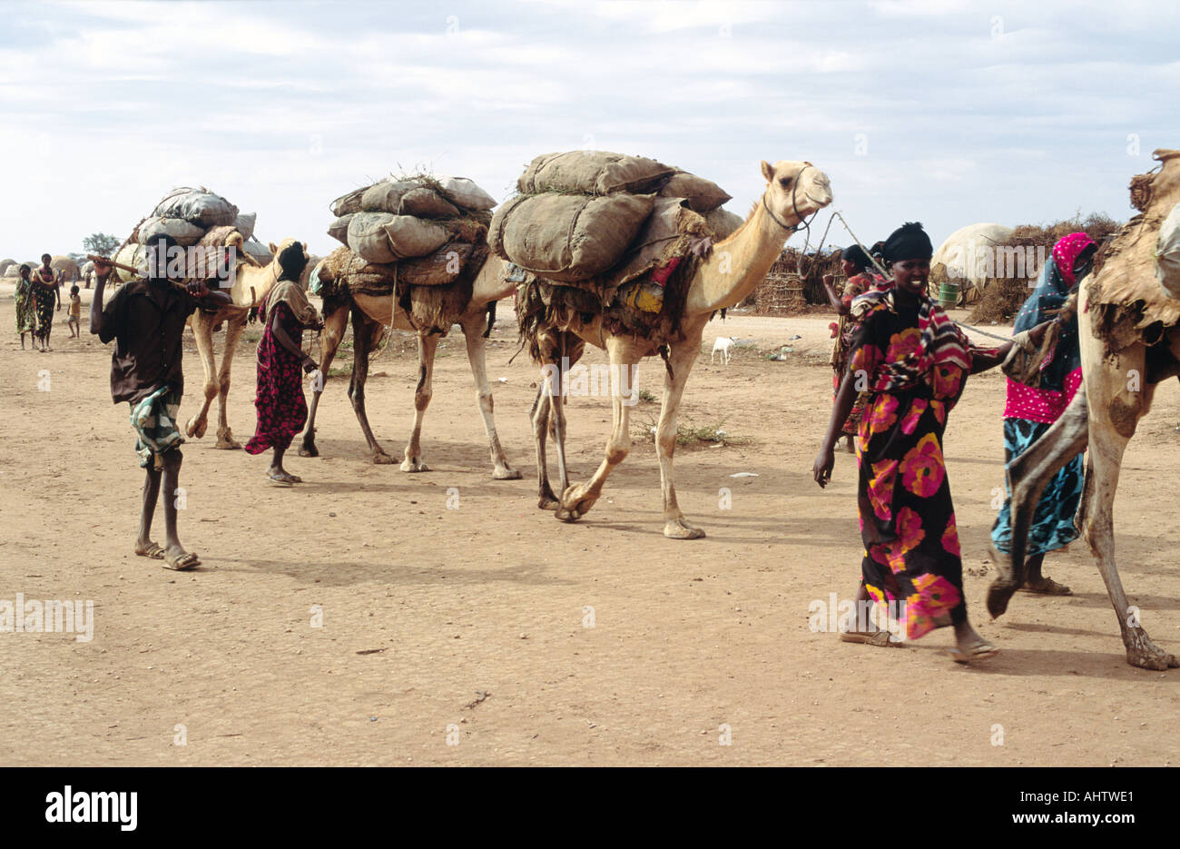 El tren de camellos somalí viene desde la frontera hacia Etiopía oriental. Foto de stock