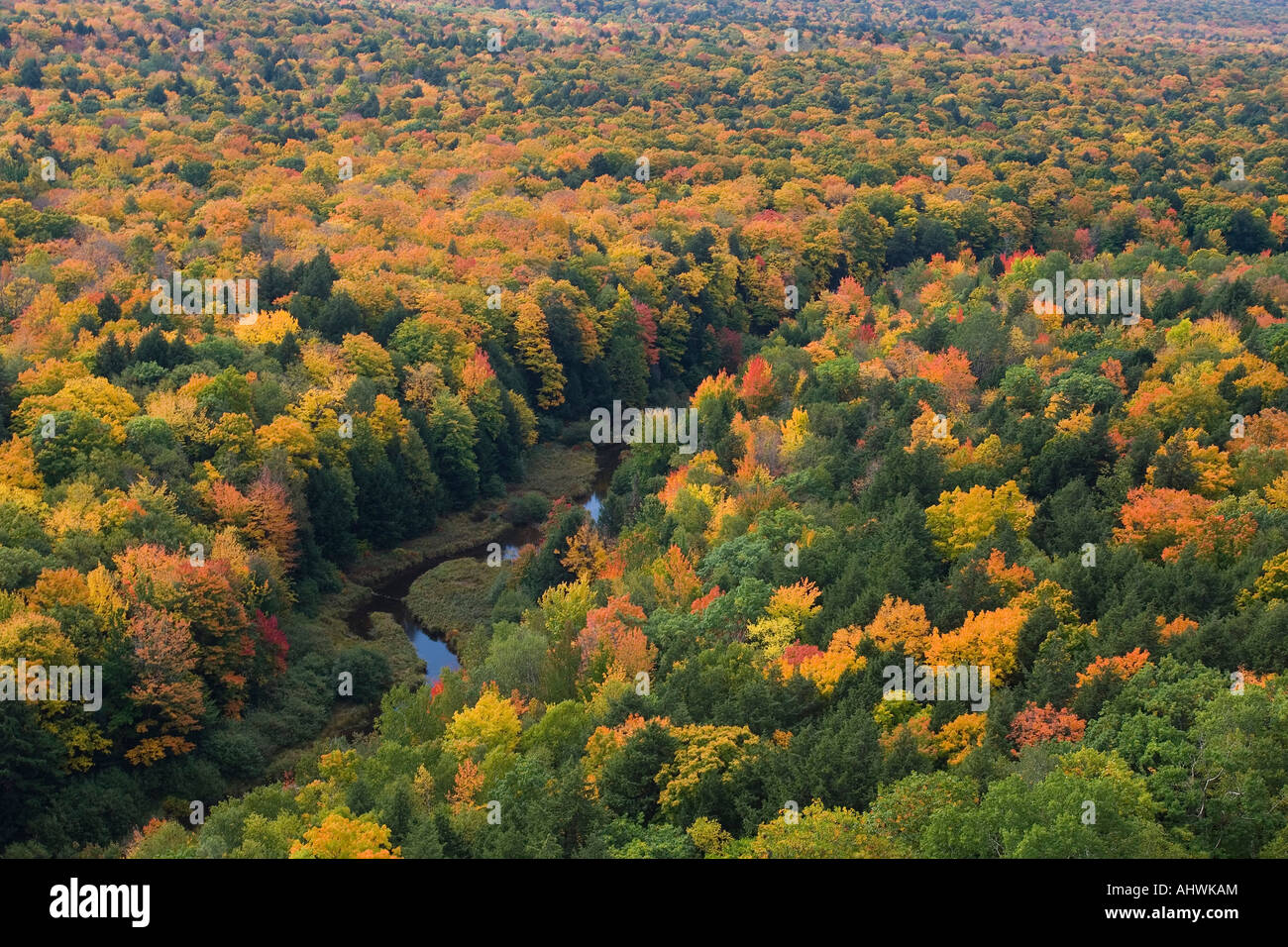 Color en el otoño en el puercoespín montañas State Park en Michigan en