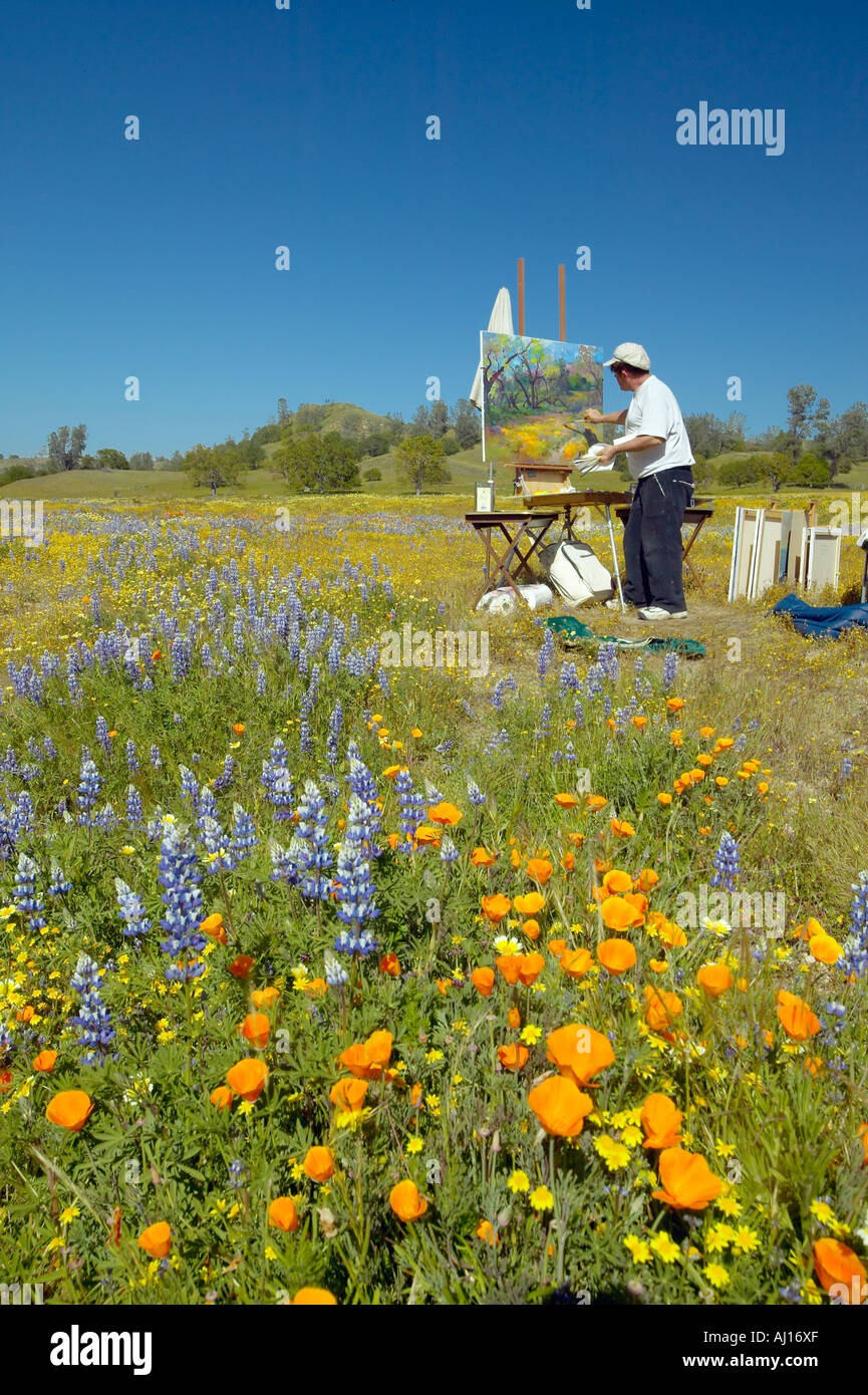 Pintor pintura sobre lienzo en un paisaje de campo de flores multicolores en Shell Creek Road saliendo de la highway 58 CA Foto de stock