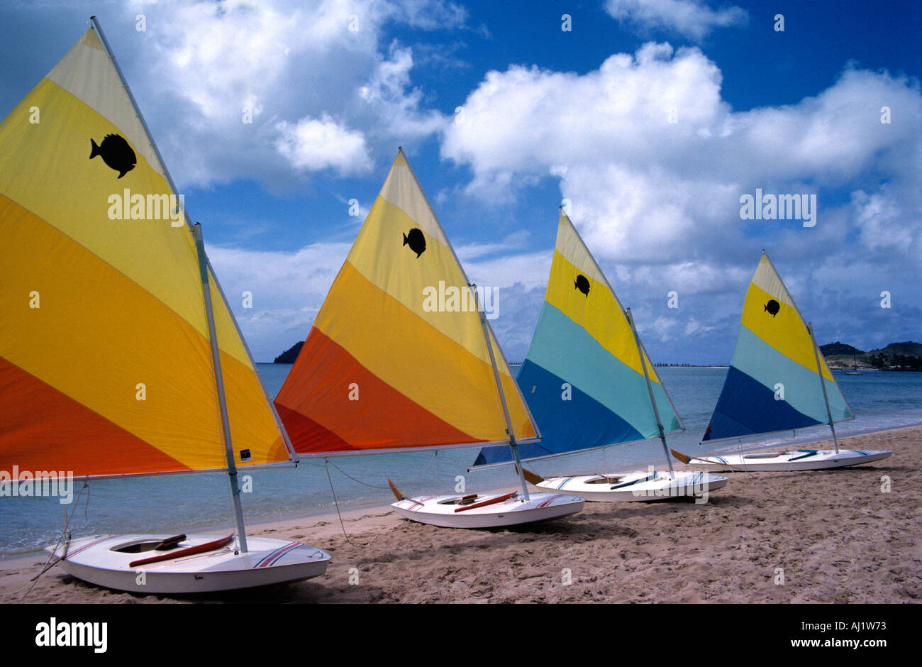 Cuatro veleros sunfish con velas multicolores alineadas en línea recta en la misma dirección en una playa de Santa Lucía en el Caribe Foto de stock
