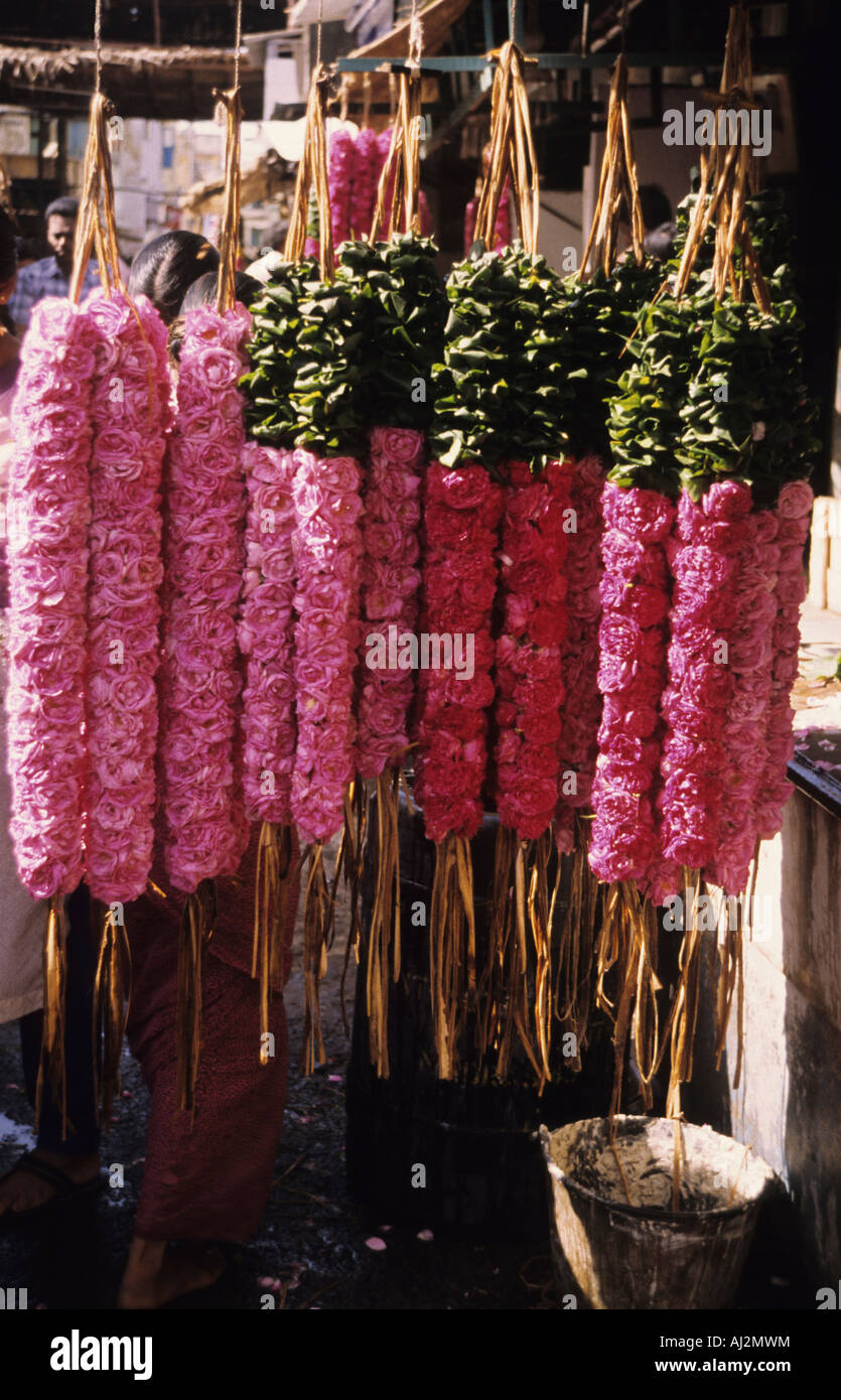 El sur de la India, Karnataka, Flores Foto de stock