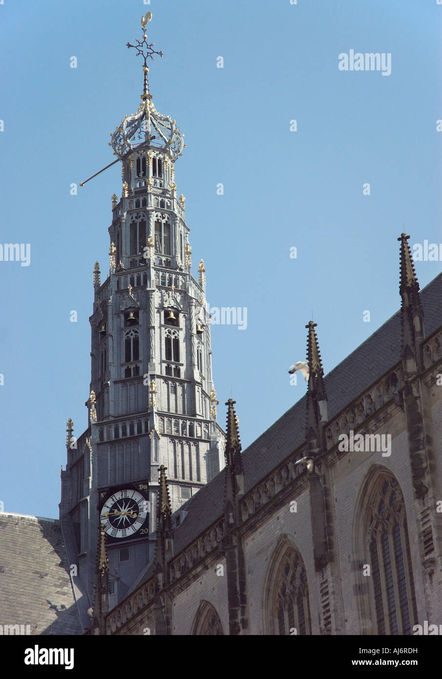 Mirando la enorme iglesia de San Bavón de Haarlem, Holanda Foto de stock