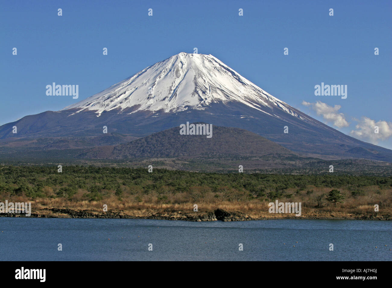 Vista del Monte Fuji desde el Lago Shouji Foto de stock