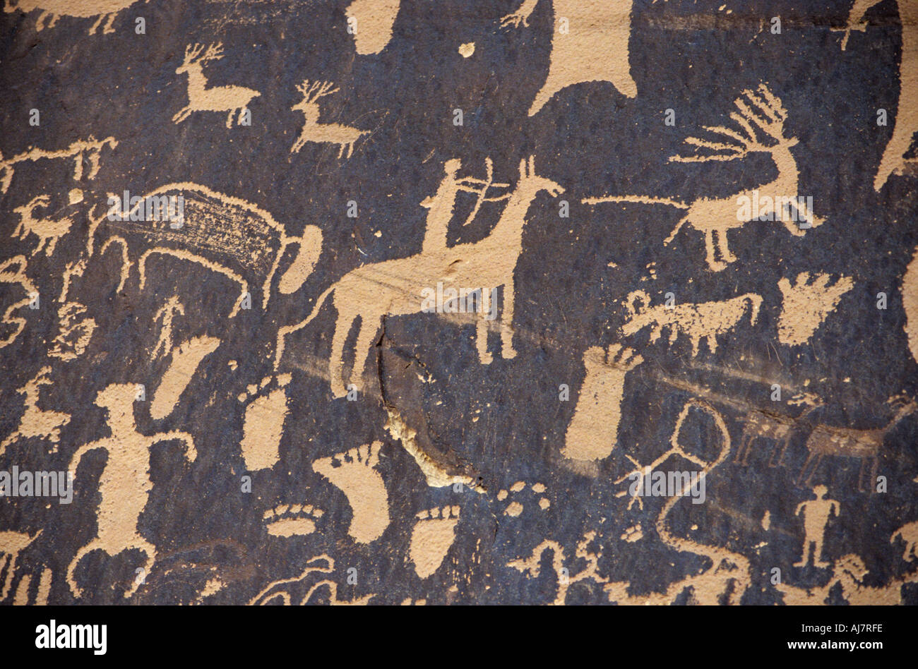 Los Anasazi petroglifos roca del periódico el parque estatal de Utah, EE.UU. Foto de stock