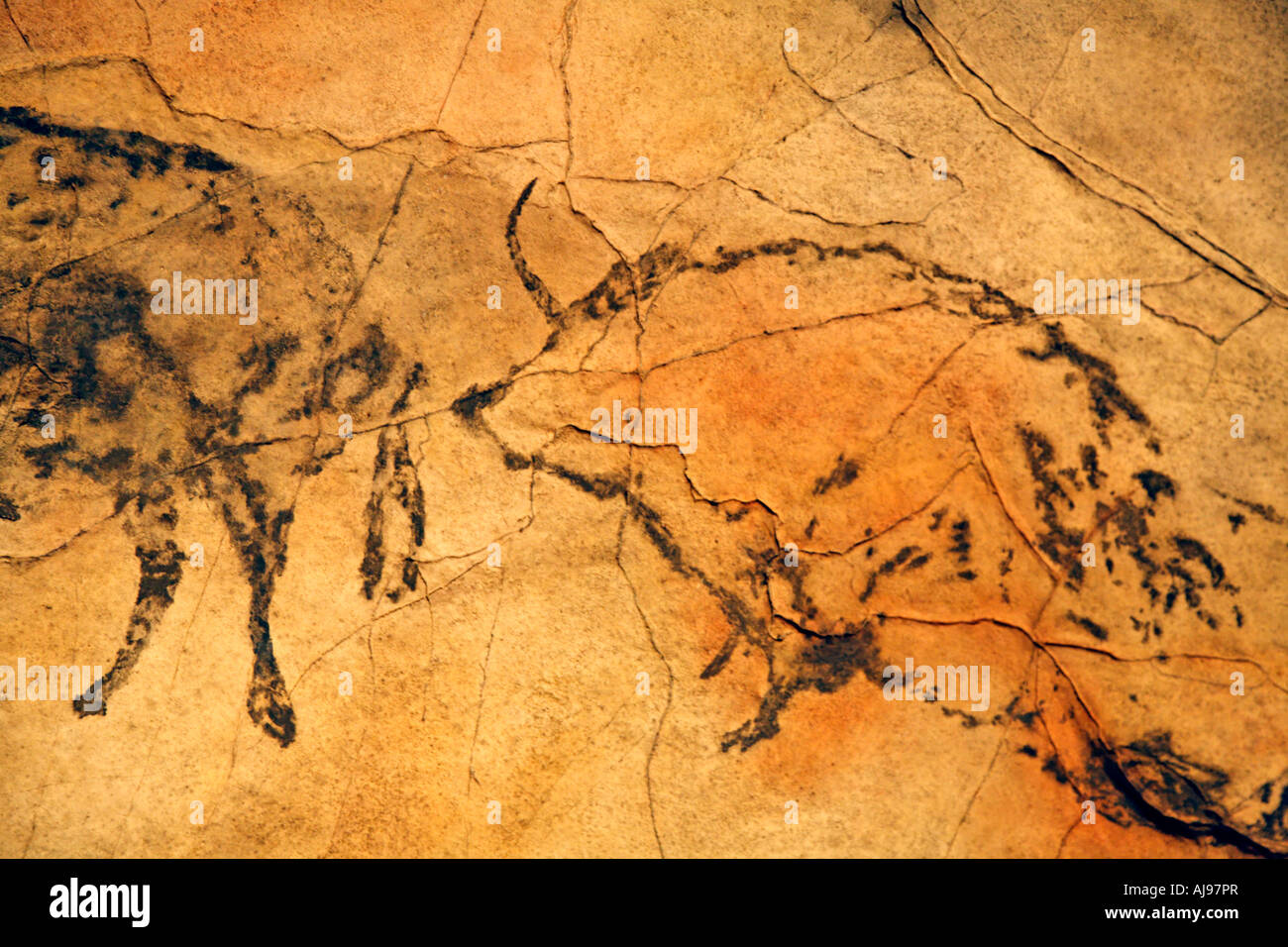 Las pinturas rupestres de Neanderthal Mayriere Superieure Bruniquel Francia Europa Foto de stock