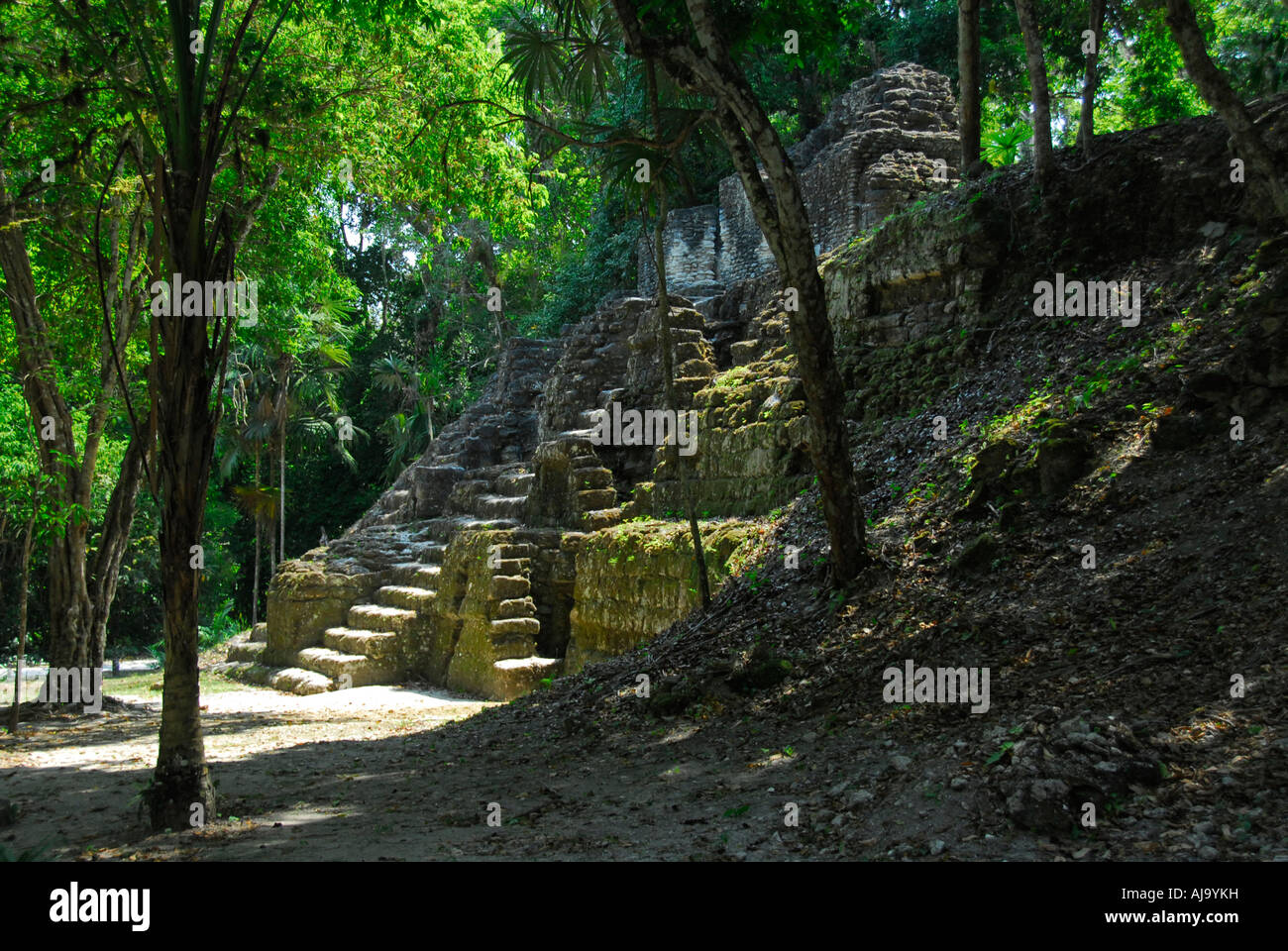 Ruinas de Tikal, Guatemala Foto de stock