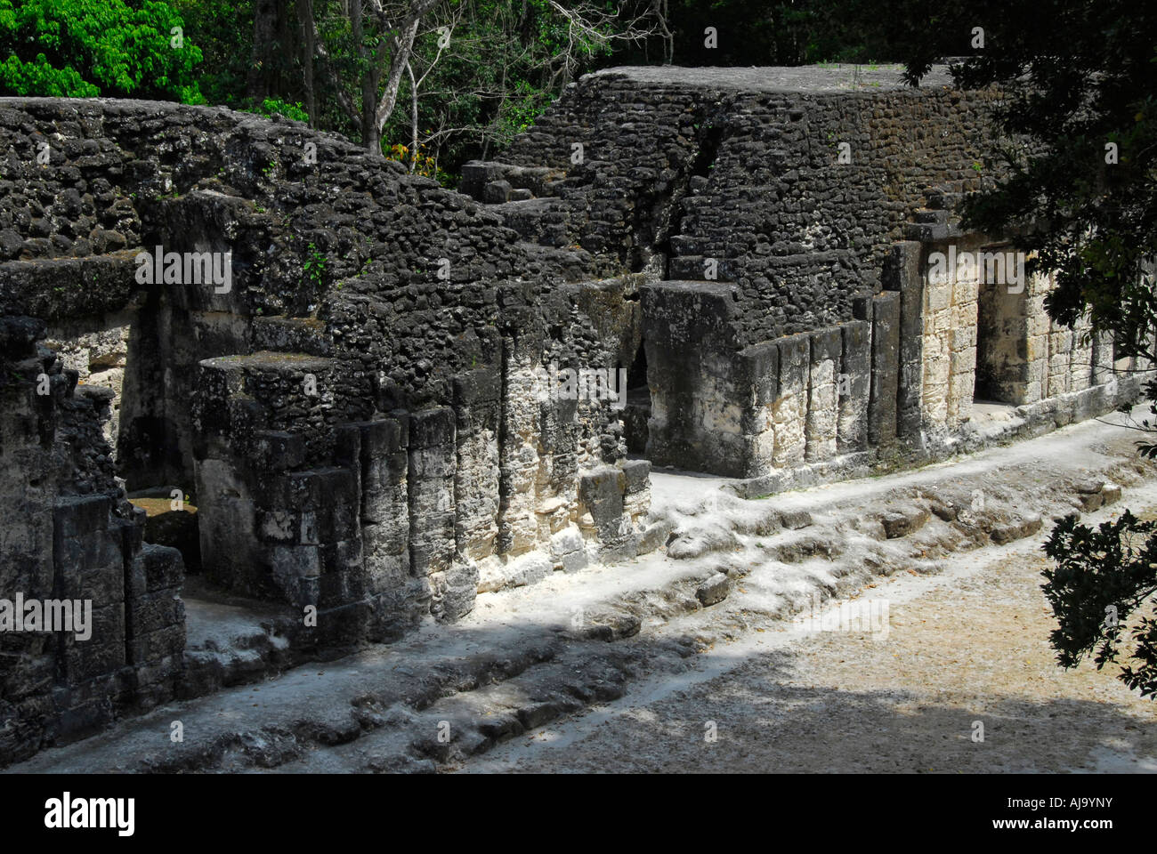 Ruinas del Grupo G en Tikal, Guatemala Foto de stock