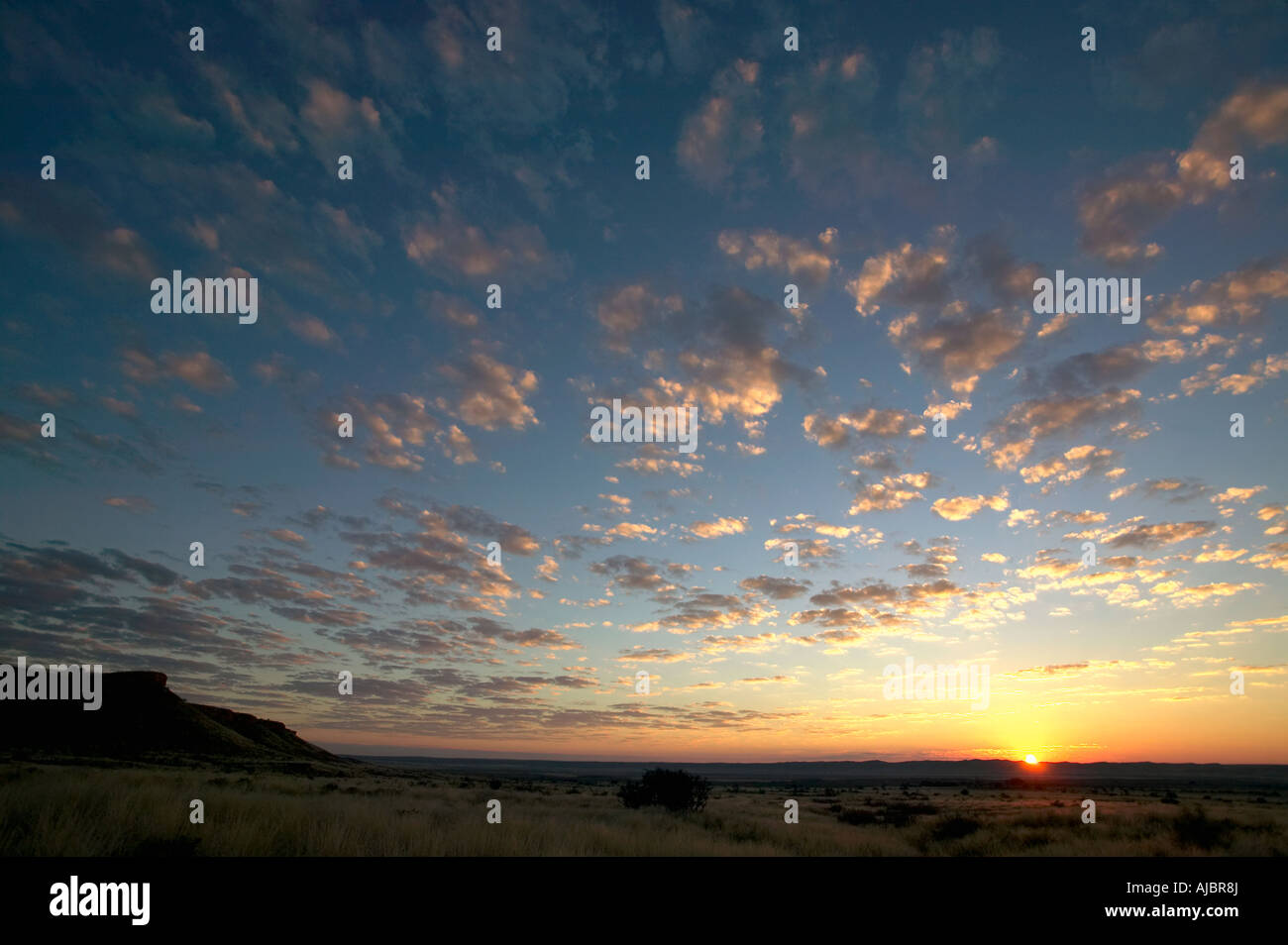 Sunsetting sobre horizonte en una sabana arbolada escena Foto de stock