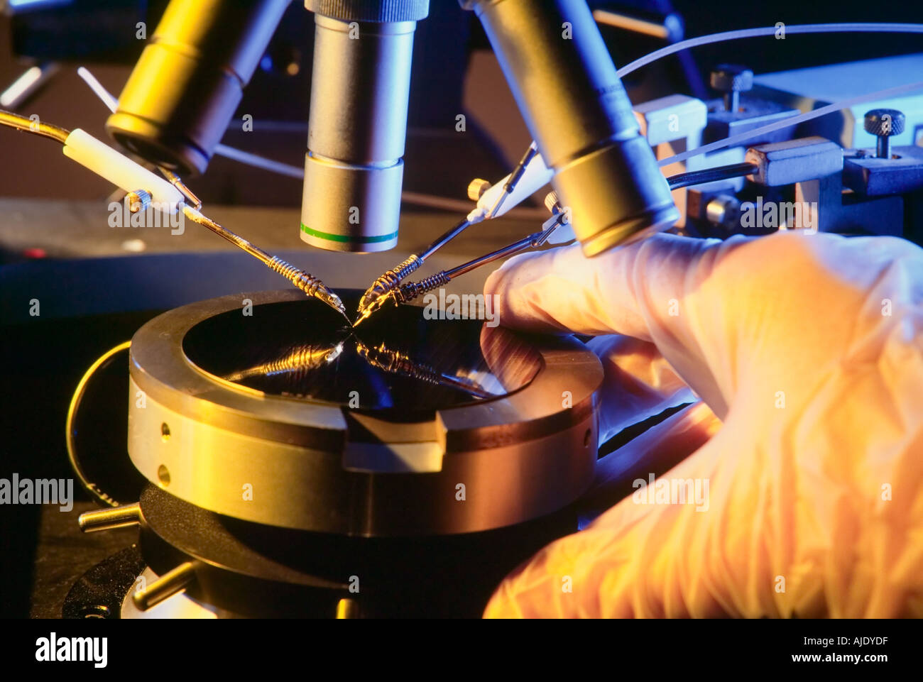 Microscopio de sondeo de prueba mientras la unidad de fabricación de circuitos  integrados Fotografía de stock - Alamy
