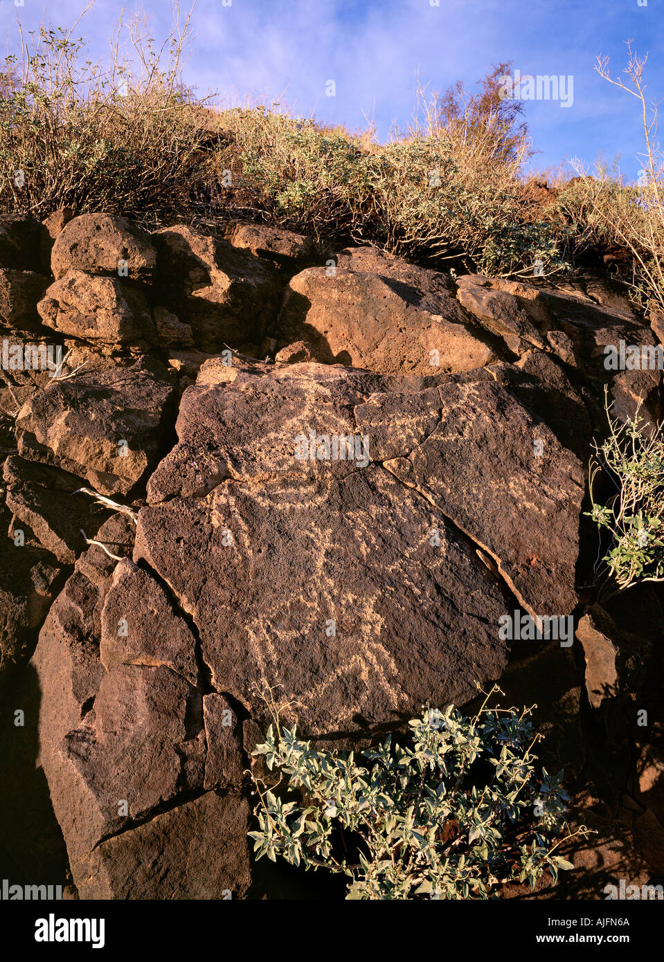 Petroglifos cerca de Tucson, Arizona Foto de stock