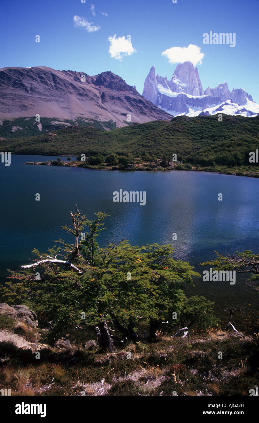 Mt Fitzroy, laguna Capri y hayedos meridionales, el Parque Nacional Los Glaciares, Patagonia, Argentina Foto de stock