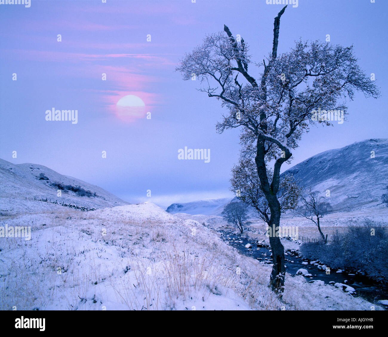 GB - Escocia: Invierno en Glen Lochsie en Tayside Foto de stock