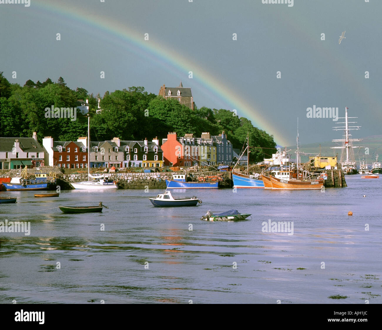 GB - Escocia: Tobermory puerto en la isla de Mull Foto de stock