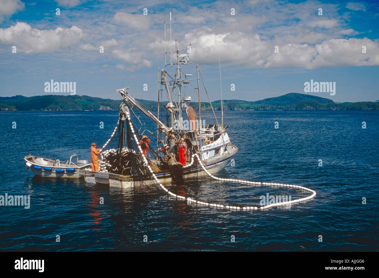 Salmón comercial siener acarreo en net w de carga de salmones cerca Afognak Isl Southwest Alaska Verano Foto de stock