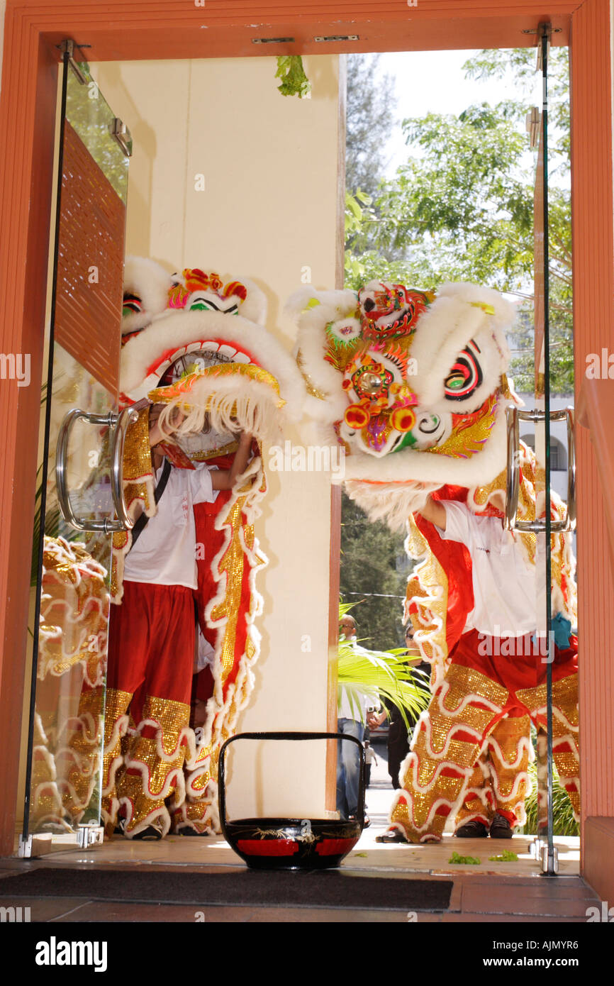Los malasios chinos realizan la danza del león del Sur durante el año nuevo chino. Batu Ferringhi, la isla Penang, Malasia. Foto de stock